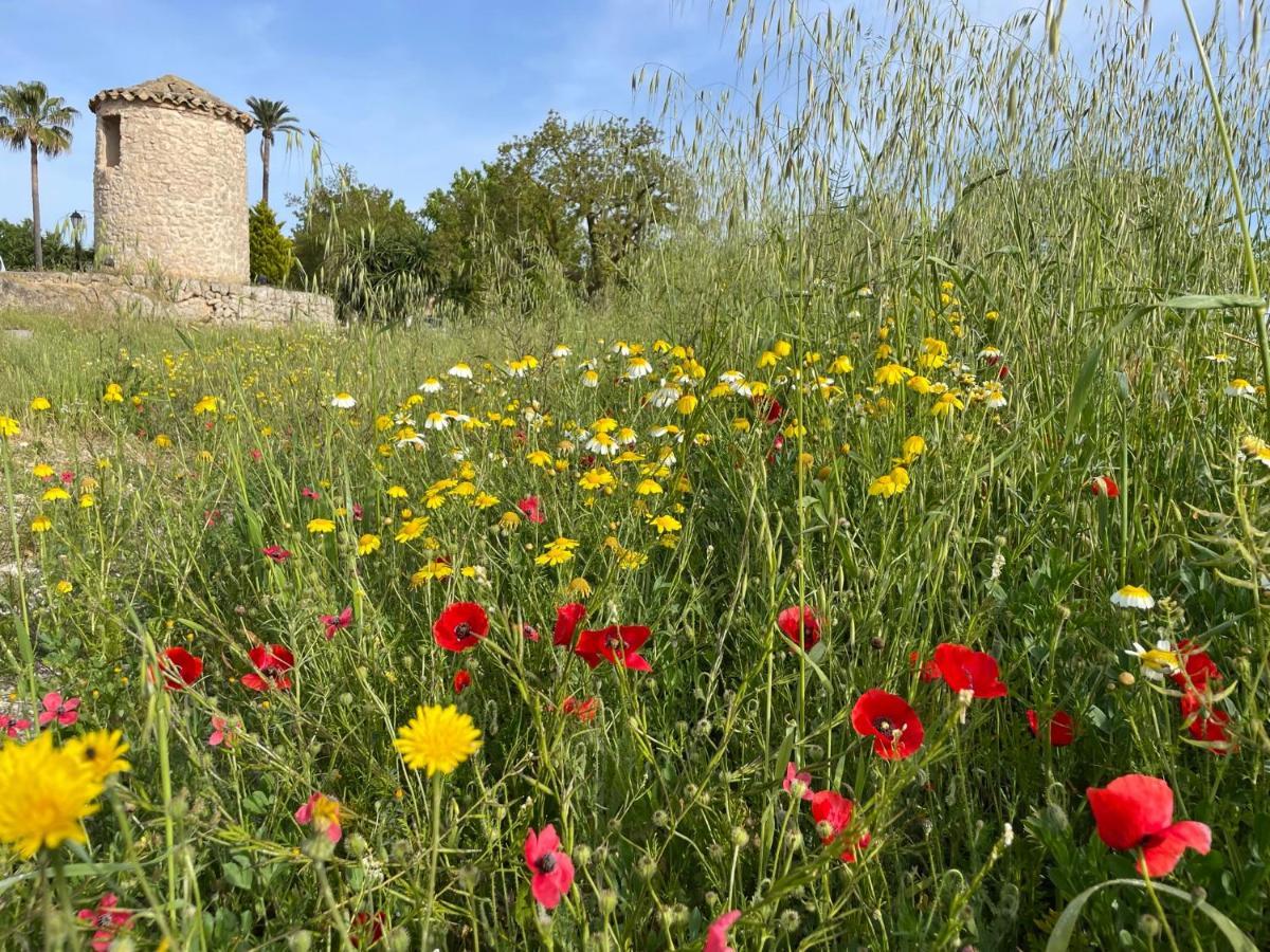 Finca Son Manera モントゥィリィ エクステリア 写真